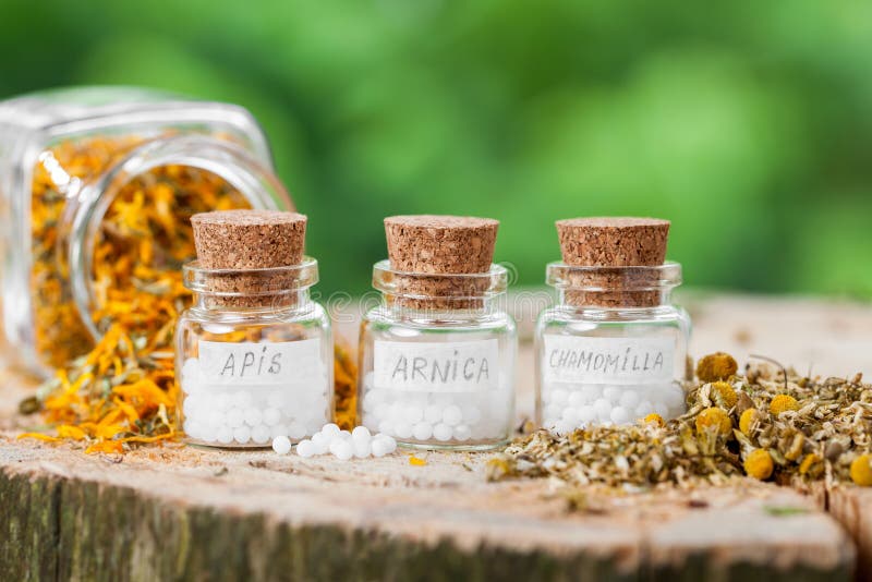 Three bottles of homeopathy globules and healthy herbs on wooden stump. Three bottles of homeopathy globules and healthy herbs on wooden stump.