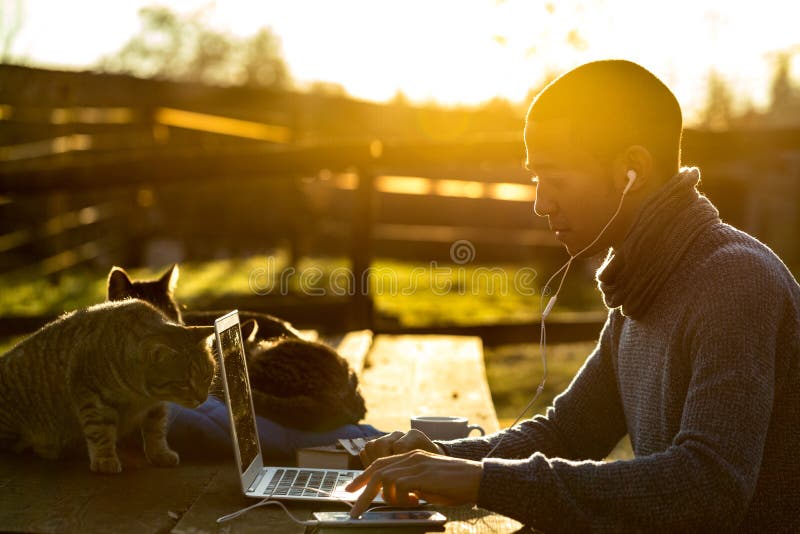 Tre gatti che lavorano all'aperto con un uomo d'affari fotografia stock Tre gatti che lavorano all'aperto con un uomo d'affari fotografia stock