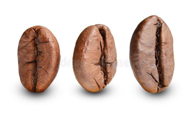 Tre grillade kaffebönor står upprätta Makro Vit isolerad bakgrund arkivfoto Tre grillade kaffebönor står upprätta Makro Vit isolerad bakgrund arkivfoto