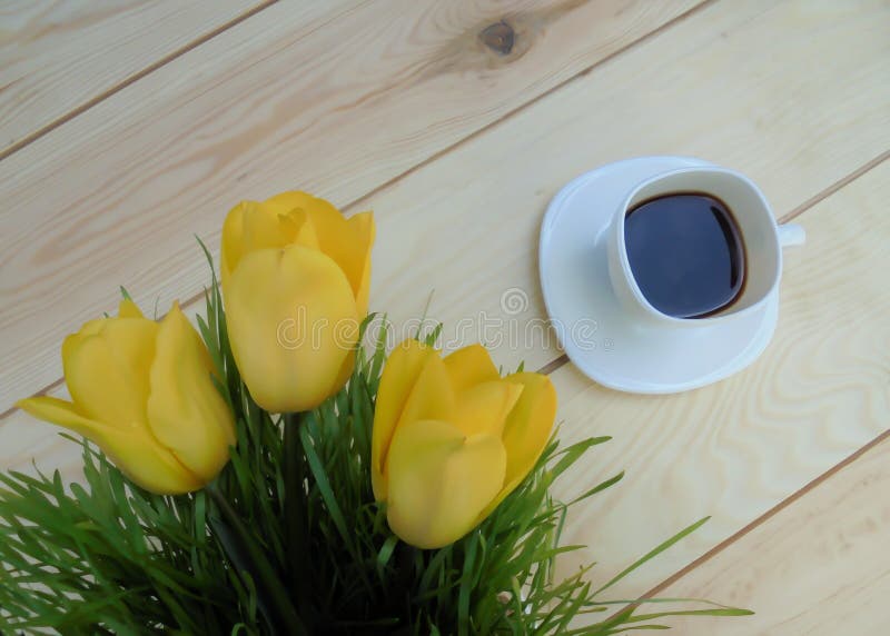 Tre gula tulpan och vit kopp för grönt gräs med kaffe på träbräden arkivbilder Tre gula tulpan och vit kopp för grönt gräs med kaffe på träbräden arkivbilder