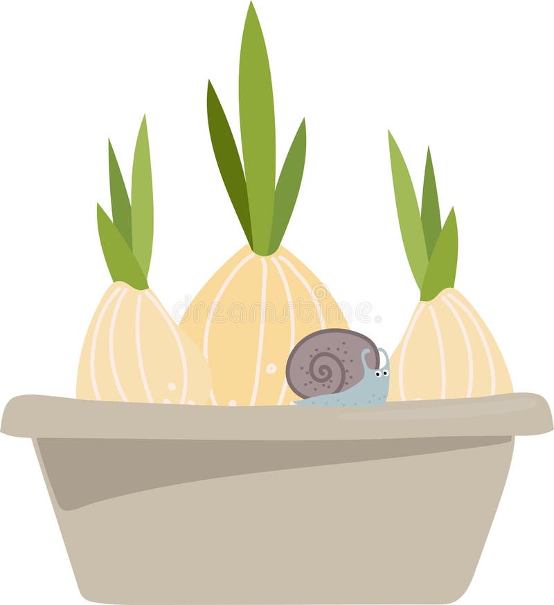 Tre lökar i en blomkruka med liten snigel. illustration av trädgårdsodlingsområdet stock illustrationer