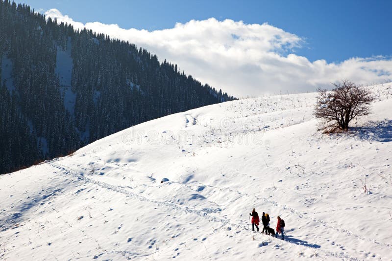 Tre turisti e cani in montagne di inverno immagine stock Tre turisti e cani in montagne di inverno immagine stock