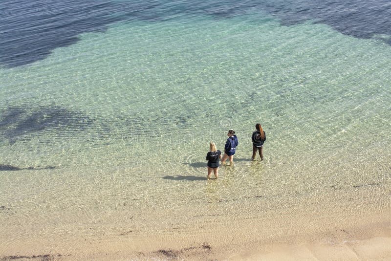 Tre unga kvinnor i djupt vatten för knä på den sandiga stranden håller ögonen på deras smartphones arkivfoto Tre unga kvinnor i djupt vatten för knä på den sandiga stranden håller ögonen på deras smartphones arkivfoto