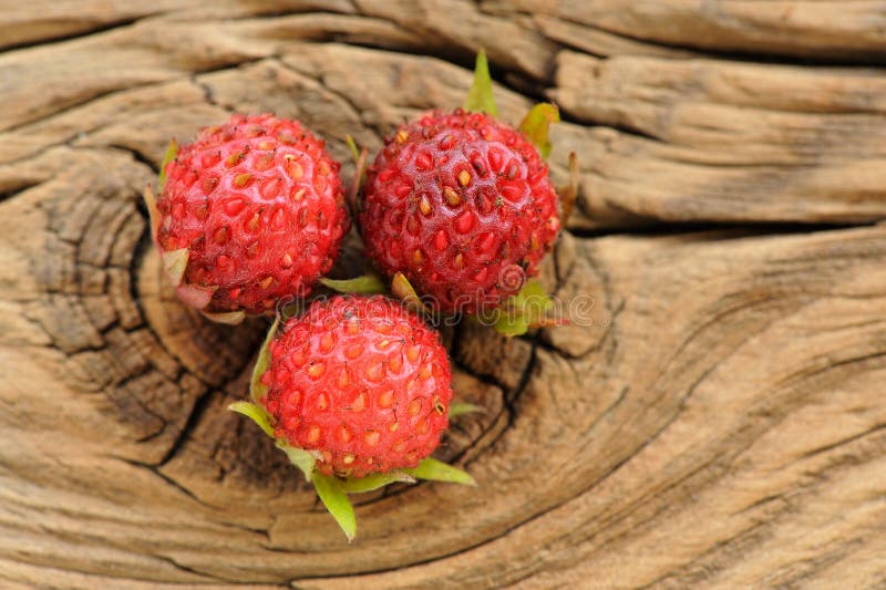 Tre viridis di Fragaria delle fragole di bosco sul bordo di legno incrinato fotografia stock Tre viridis di Fragaria delle fragole di bosco sul bordo di legno incrinato fotografia stock