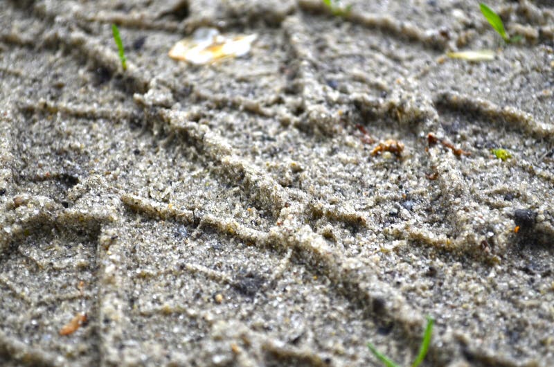 Machine tread prints on the ground. Tread is an element of the tire of the wheel designed to protect the inner part of the tire from punctures and damage, as well as to form the optimal contact patch of the tire.