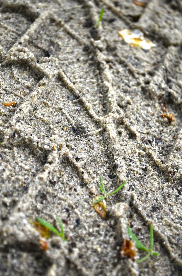 Machine tread prints on the ground. royalty free stock images