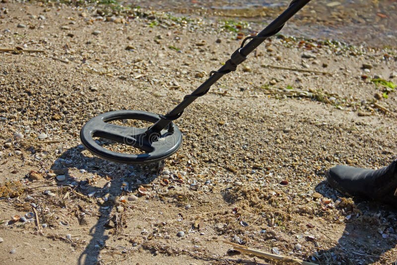 Treasure Hunting with a Metal Detector Stock Image Image of action