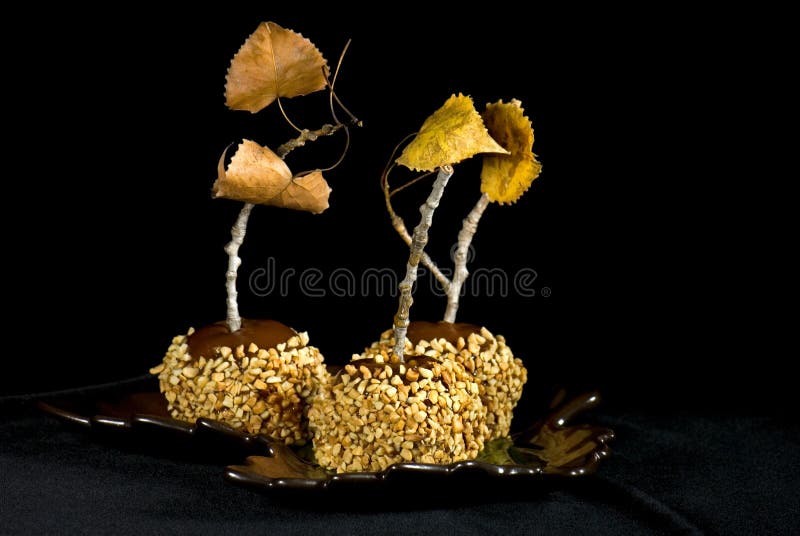 Treat On Twig royalty free stock images