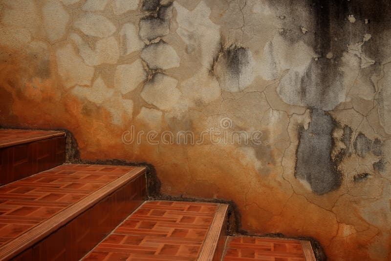 Treden en cementmuren royalty-vrije stock afbeelding Treden en cementmuren royalty-vrije stock afbeelding