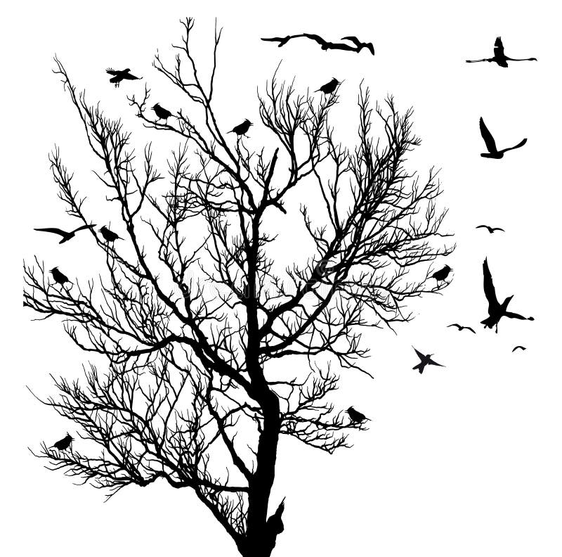 Birds flying from the tree stock vector. Illustration of material ...