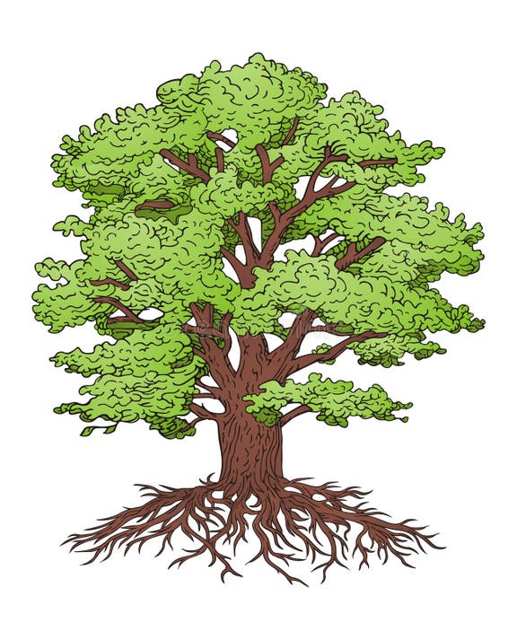 Big Tree Engraving Stock Illustrations 549 Big Tree Engraving Stock