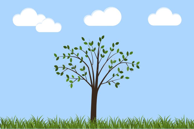 A Tree Against the Sky on the Grass in the Field. Green Landscape Vector Background. Spring in Cartoon Style Stock Illustration - Illustration of healthy, cartoon: 183363109 A Tree Against the Sky on the Grass in the Field. Green Landscape Vector Background. Spring in Cartoon Style Stock Illustration - Illustration of healthy, cartoon: 183363109