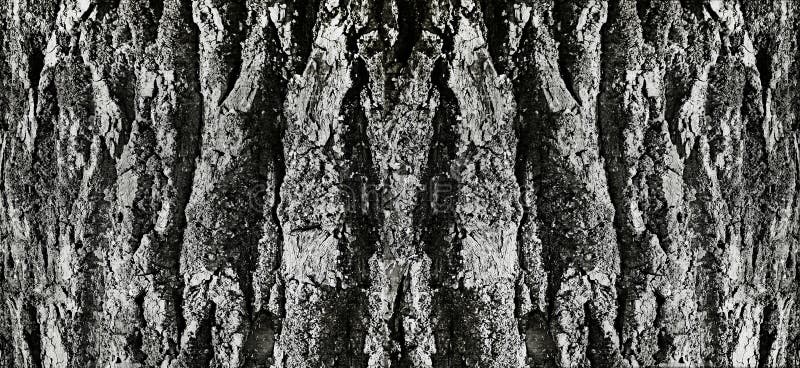 Tree bark embossed volumetric deep crack gray background texture royalty free stock images Tree bark embossed volumetric deep crack gray background texture royalty free stock images
