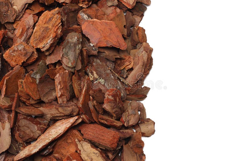 Tree Bark Pieces Isolated on White Background. Top View Stock Photo