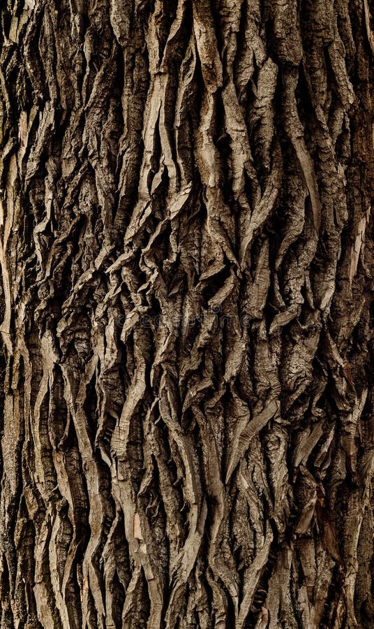 Tree bark royalty free stock photos