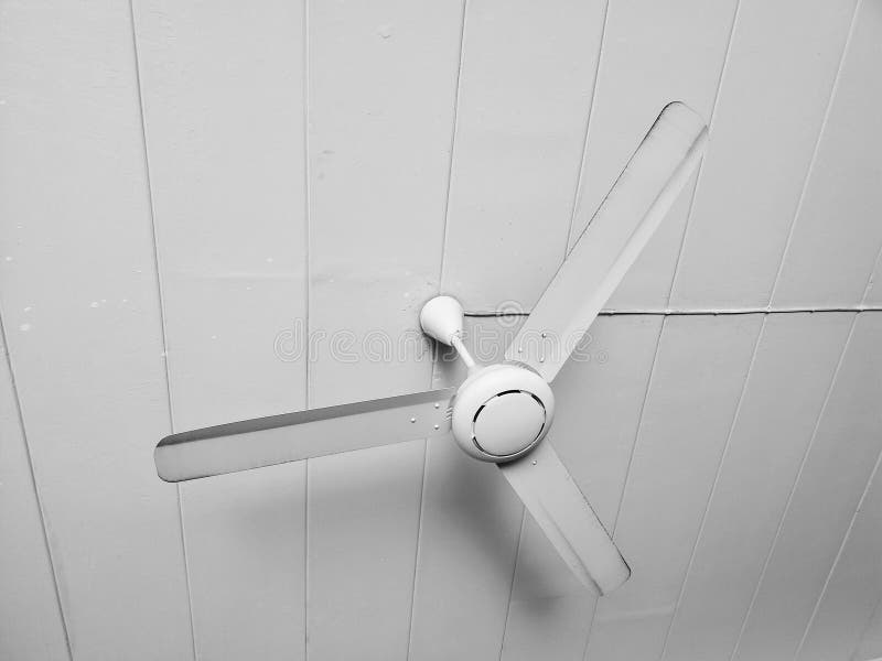 Tree Blades Ceiling Fan On Black And White Stock Image Image Of