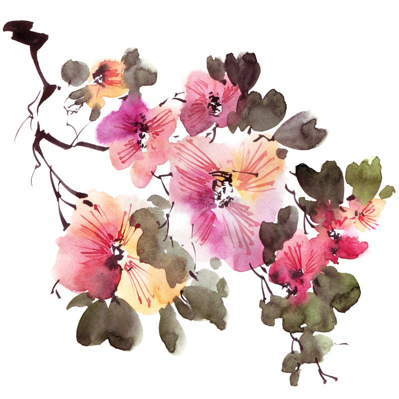 Watercolor and ink illustration of tree branch in bloom - with flowers, buds and leaves. Oriental traditional painting in style sumi-e, u-sin and gohua