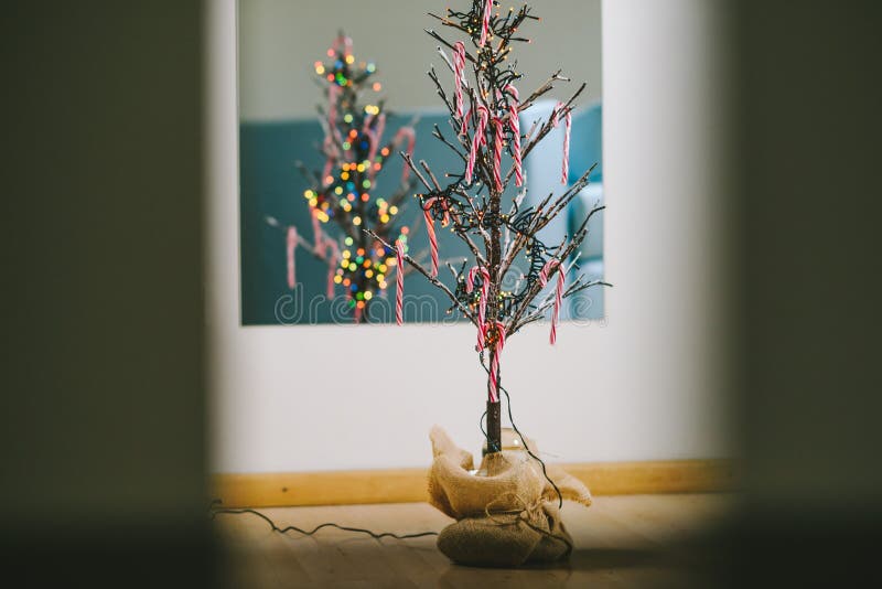 Tree Branch Christmas Tree stock image. Image of color 63949391