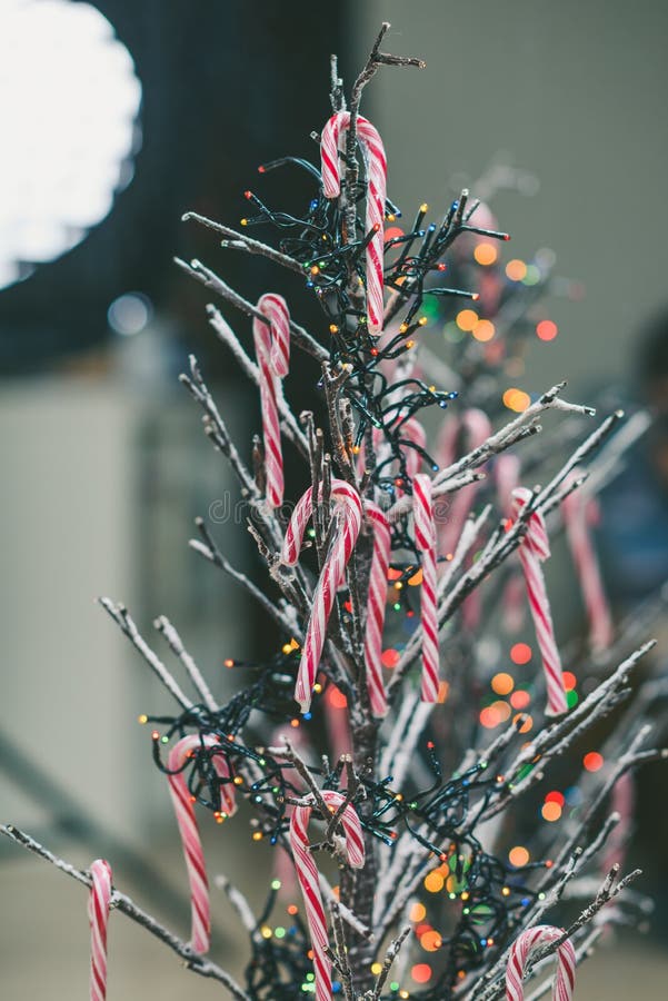 Tree Branch Christmas Tree stock image. Image of decor 63949429