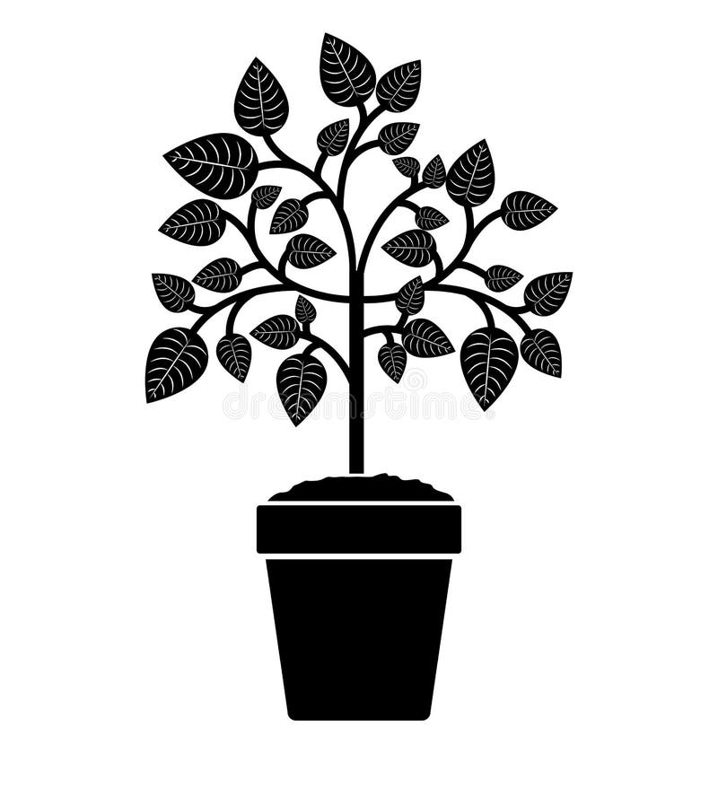 Tree branch with leaves in pot isolated icon design