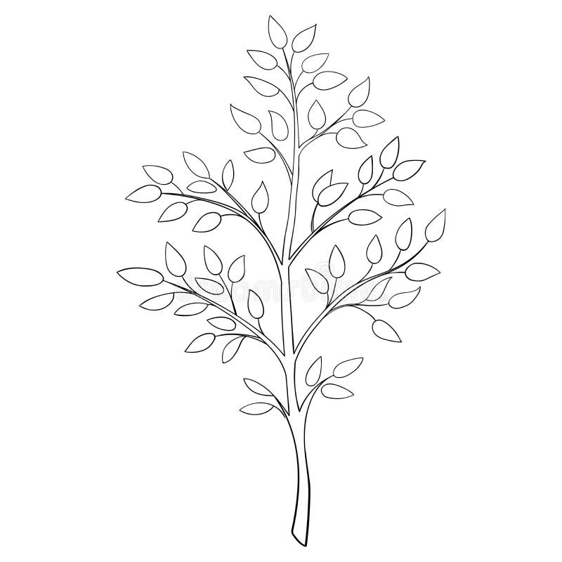 Tree Branch Vector Sketch Hand Drawn. Nature Forest Greenery Background ...