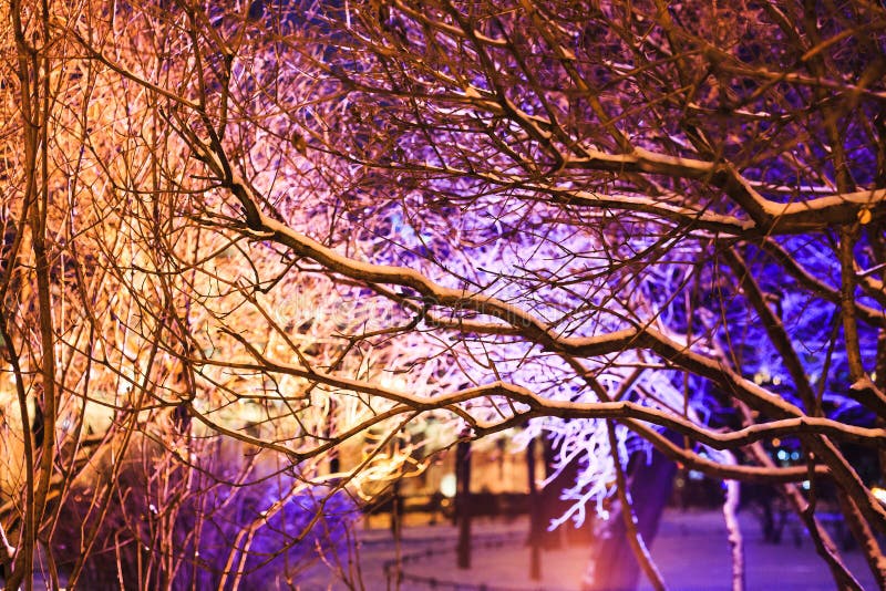 Tree branches covered with bright Christmas lights. Winter city park. Christmas background. Street illumination. stock photos Tree branches covered with bright Christmas lights. Winter city park. Christmas background. Street illumination. stock photos
