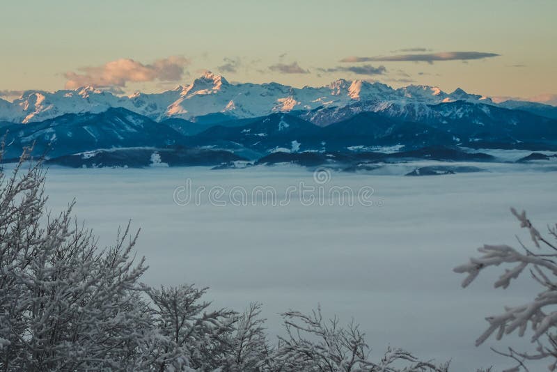 Tree branches covered with snow and hills in the background