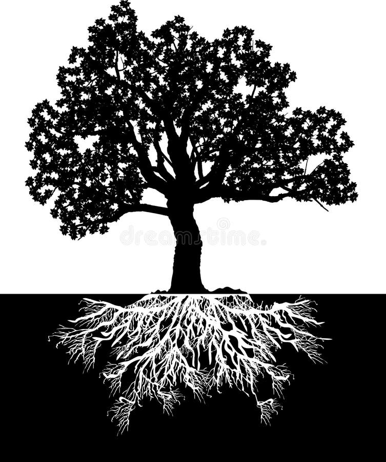 Silueta gráfico constituir un árbol raíces (crecimiento o desarrollo) 