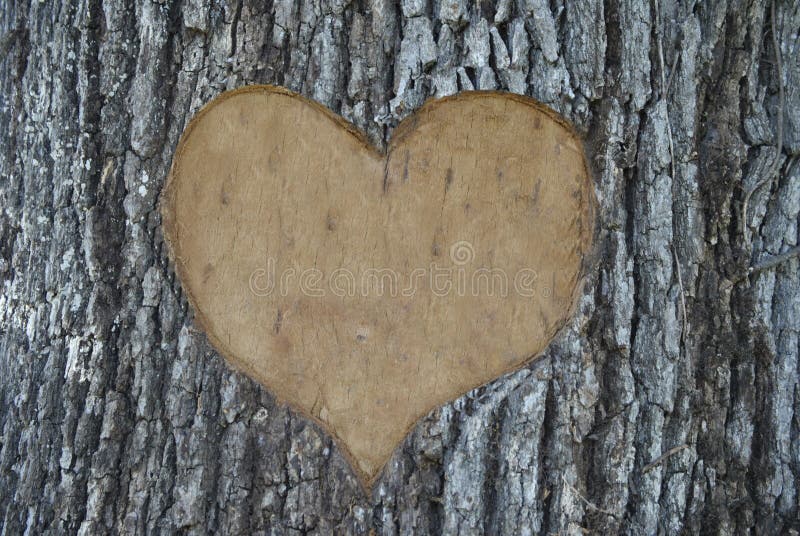 Tree carving