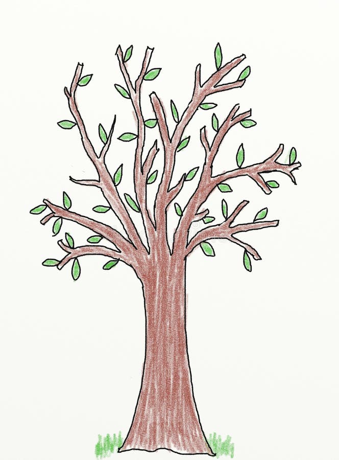  Tree  children drawing  stock illustration Illustration 