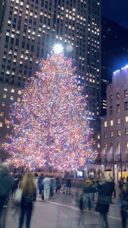 Tree stock image. Image of christmas, colors, architecture 175285615