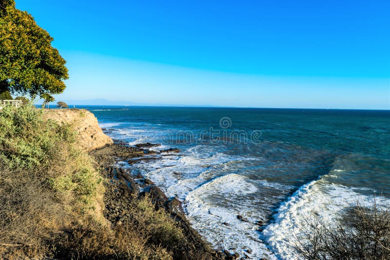 Tree On A Rocky Cliff Overlooking The Ocean Stock Photo Image of