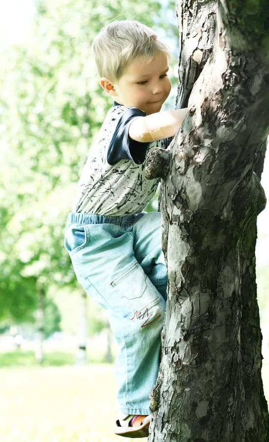 Treeclimber stock photo. Image of climbing, park, outside 8698488