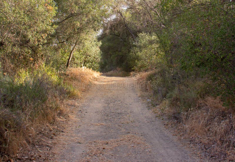 Southern California Ronald W. Caspers Wilderness ParkTitle