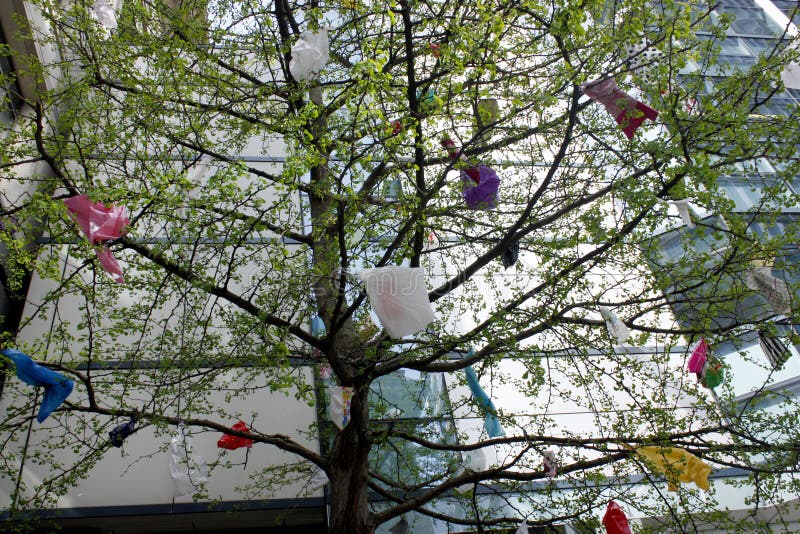 Tree Decorated with Plastic Bags Stock Photo Image of city, office