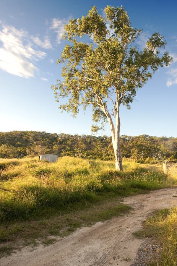 Brisbane City Centre stock image. Image of cityscape 15029713