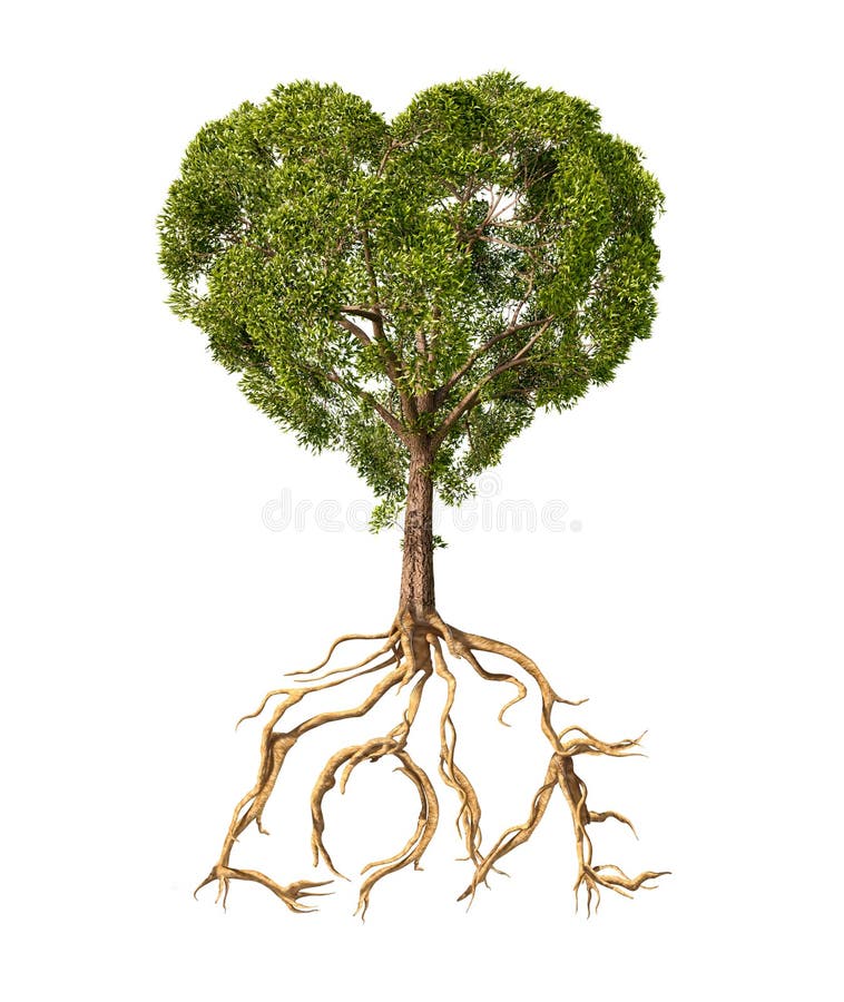Un árbol hojas Rostro de corazón raíces cómo.