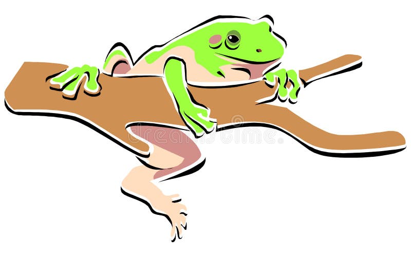 Tree frog royalty free illustration
