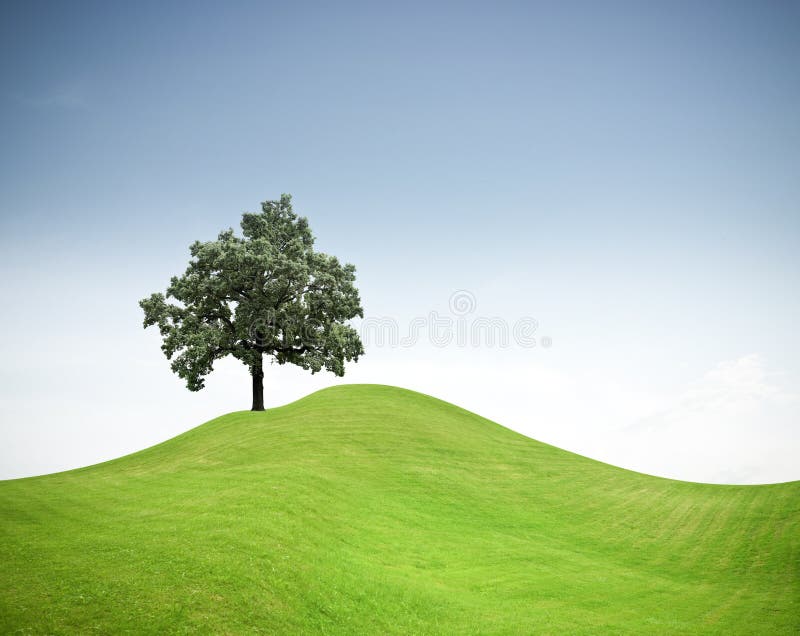 Veľký Strom na zelenej tráve hill.