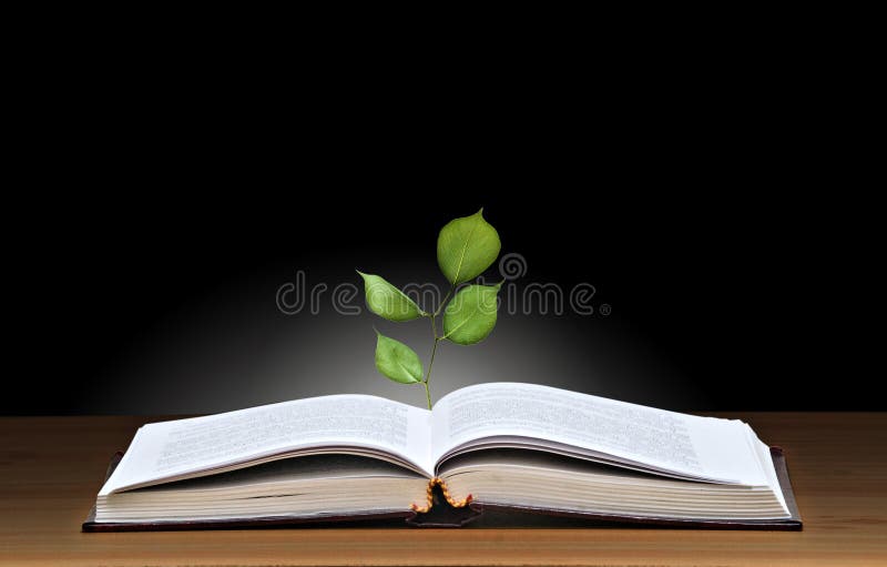 Tree growing from book