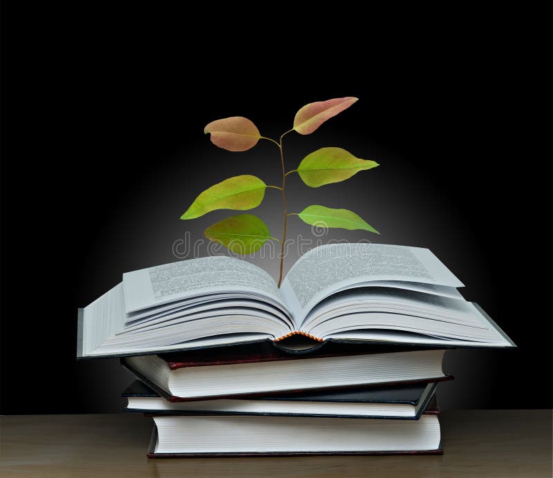 885 Book Tree Growing Stock Photos Free & RoyaltyFree Stock Photos