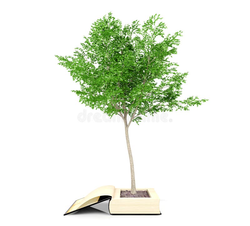 Tree Growing from the Old Book. Knowledge Growth from Education Concept