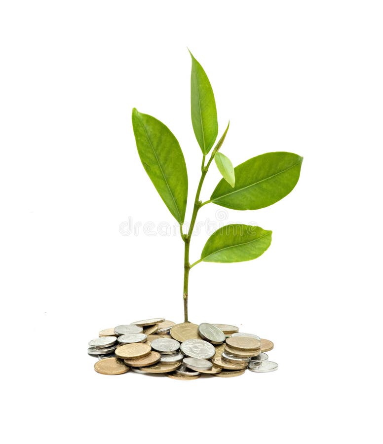 Tree growing from pile of coins