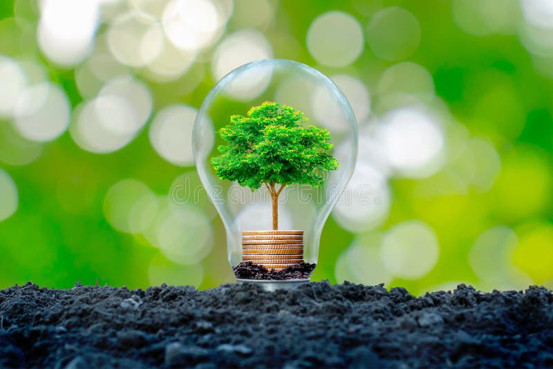 The tree that grows on a pile of money in a light bulb with a green nature blur background.