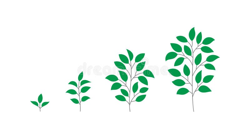 Tree Growth Stages. Seedling Development Stage. Animation Progression.  Business Cycle Development Infographic Stock Vector - Illustration of  paths, editable: 230084905