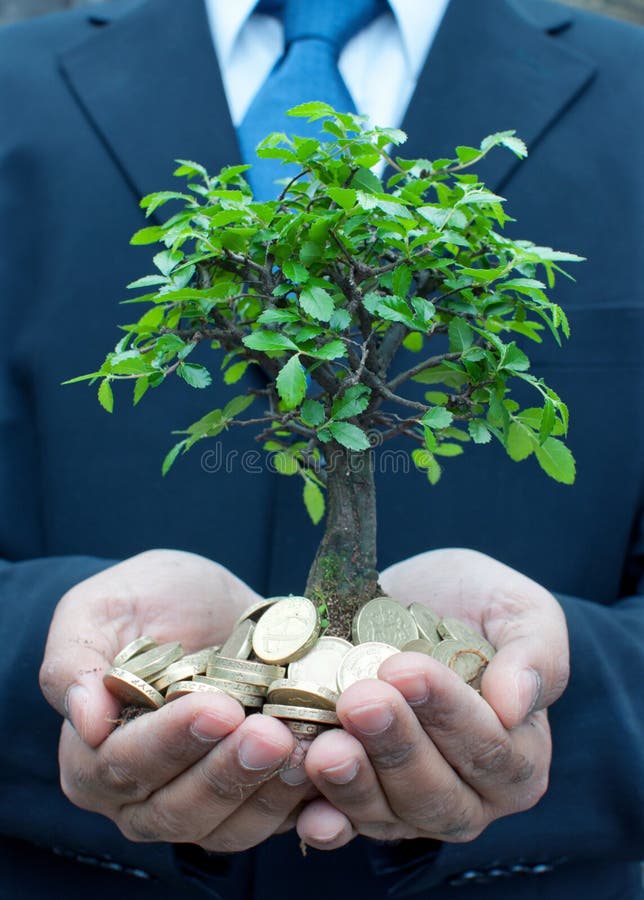 Tree in hands of businessman