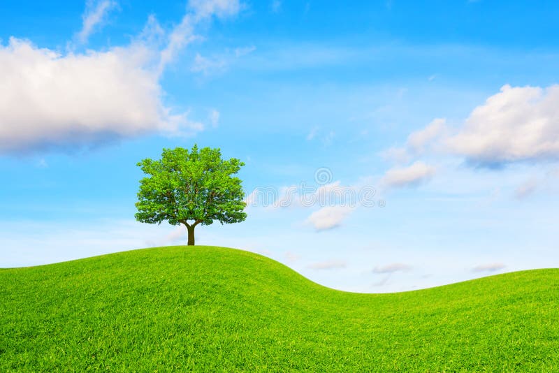 Tree Hill And Blue Sky Stock Image Image Of Pattern 111847013