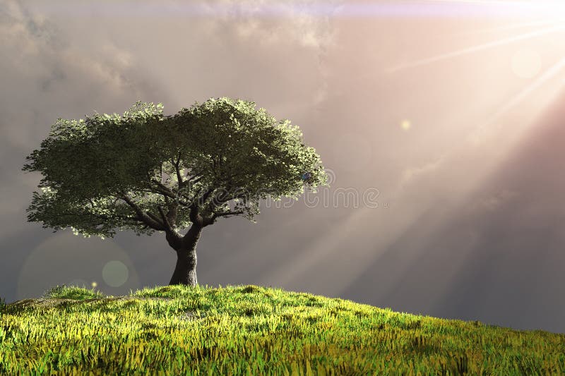 Tree on hill with rays of light royalty free illustration Tree on hill with rays of light royalty free illustration