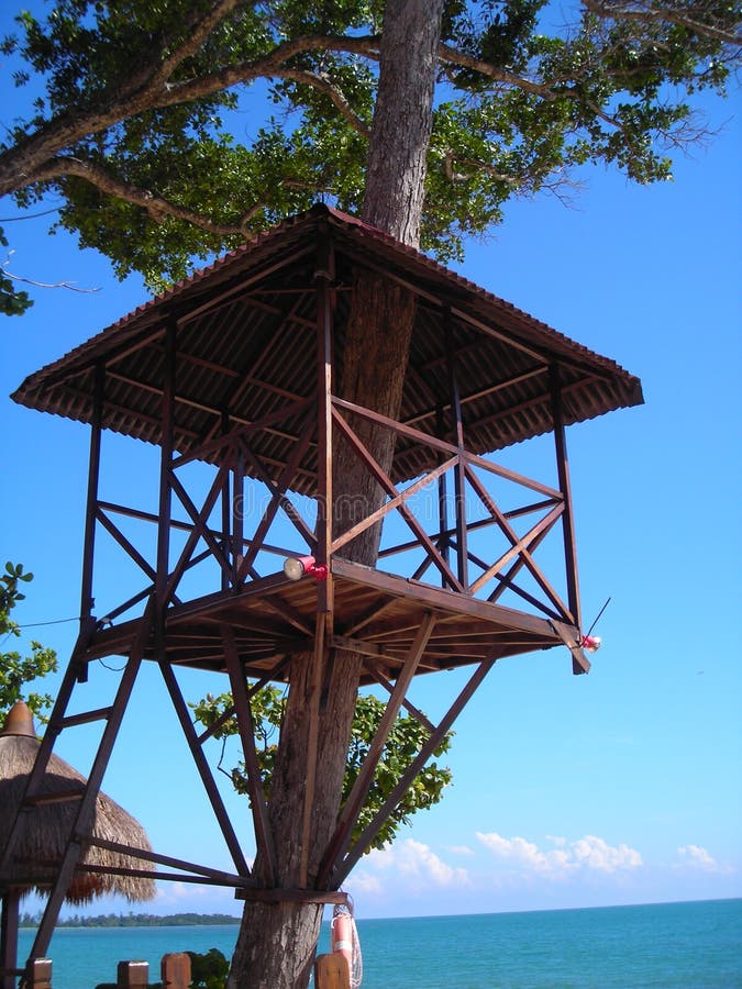 Tree House Found in Desaru, Malaysia Stock Photo Image of asia