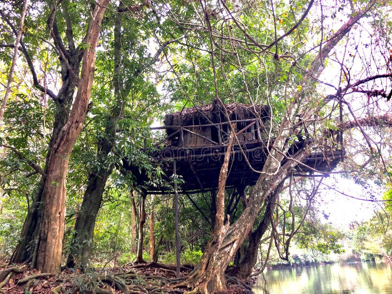 Tree house in konni Kerala forest